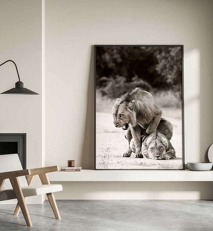 LION LOVE , PHOTOGRAPHY PRINTS