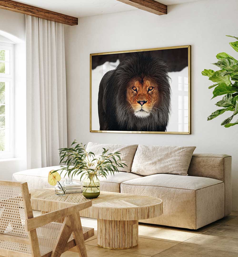 WINTER GLOW , PHOTOGRAPHY PRINTS