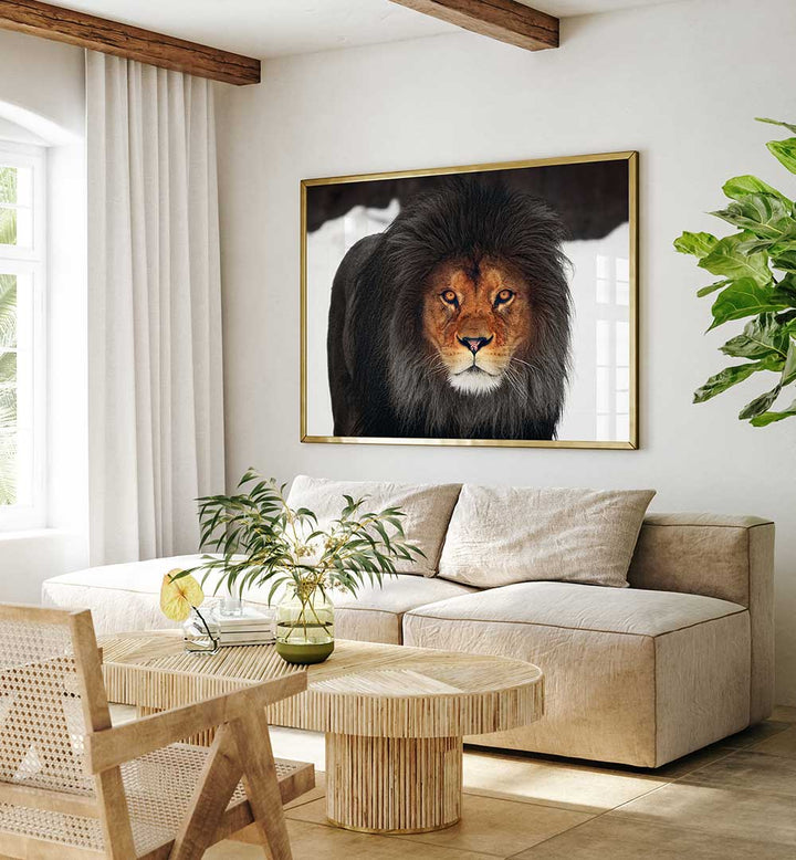 WINTER GLOW , PHOTOGRAPHY PRINTS