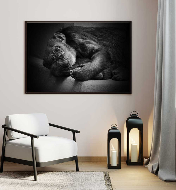 YESTERDAY , PHOTOGRAPHY PRINTS