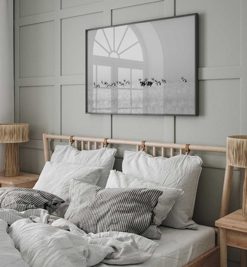 SENTINEL GAZELLES  , PHOTOGRAPHY PRINTS