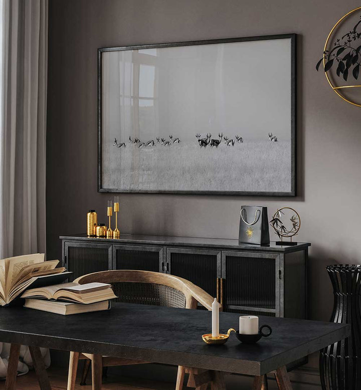 SENTINEL GAZELLES  , PHOTOGRAPHY PRINTS