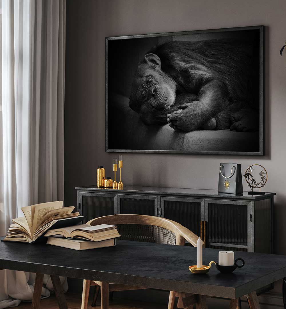 YESTERDAY , PHOTOGRAPHY PRINTS