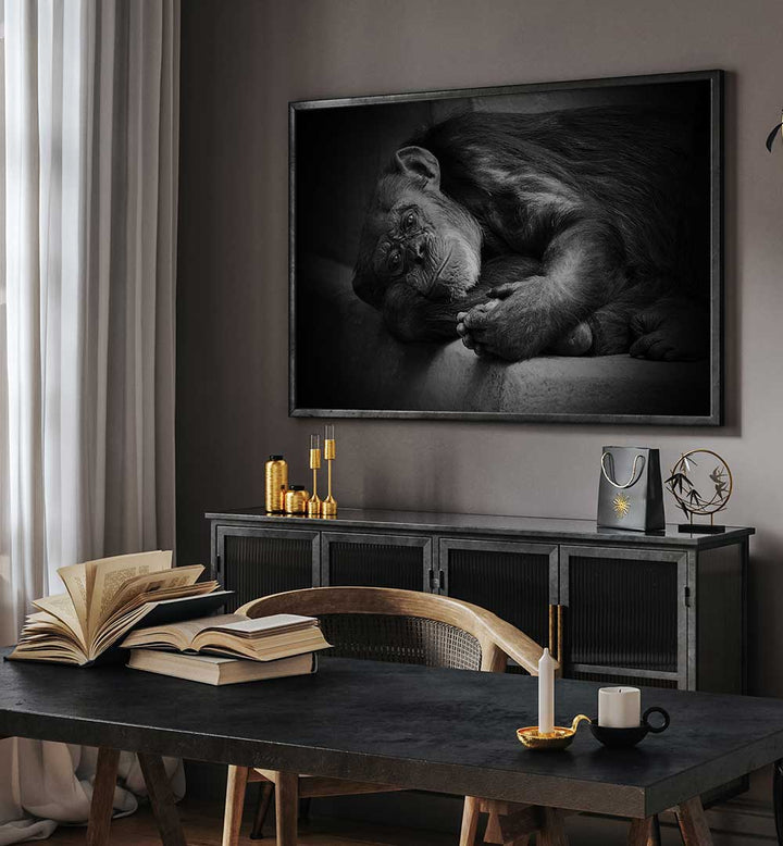 YESTERDAY , PHOTOGRAPHY PRINTS