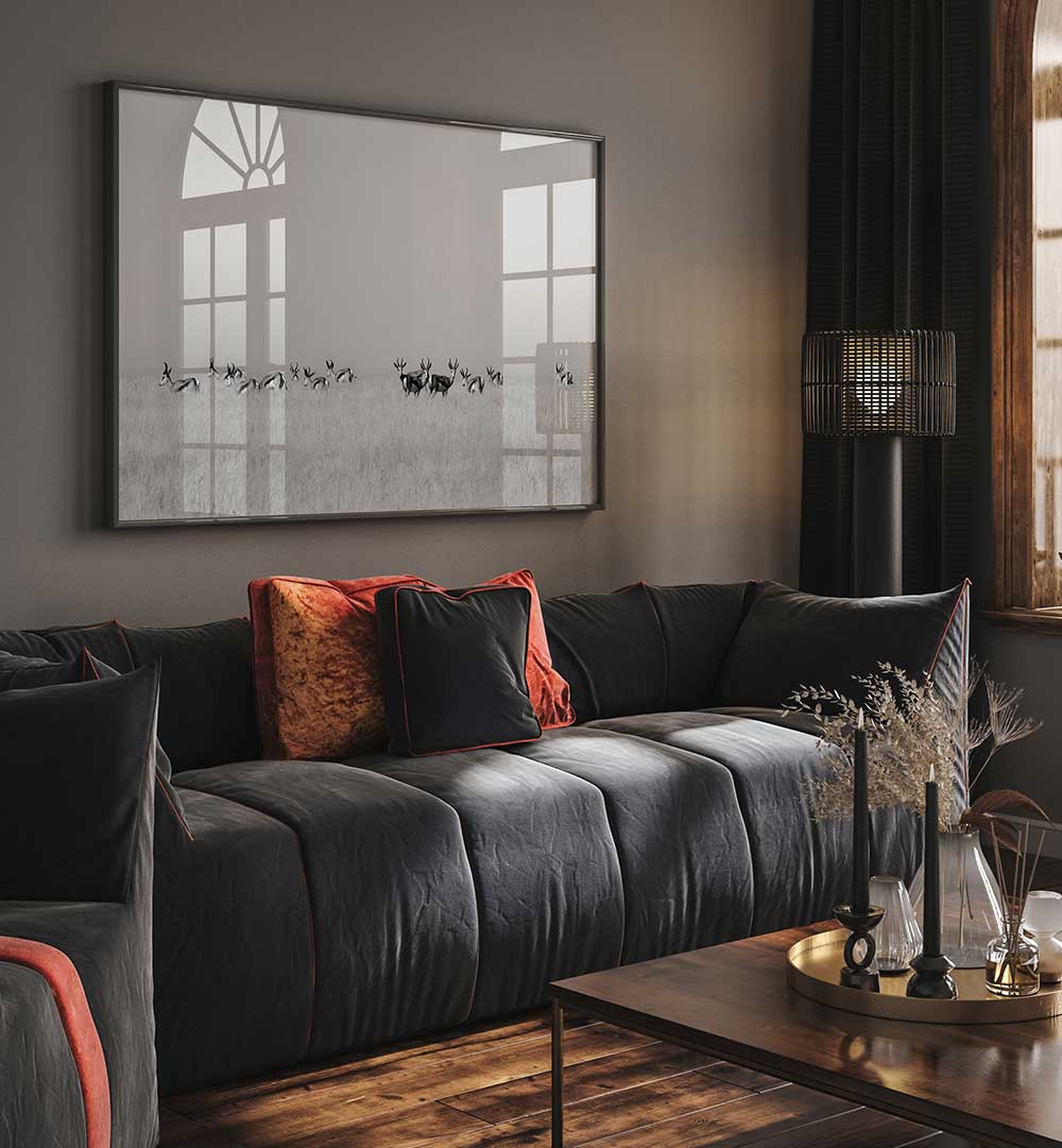 SENTINEL GAZELLES  , PHOTOGRAPHY PRINTS