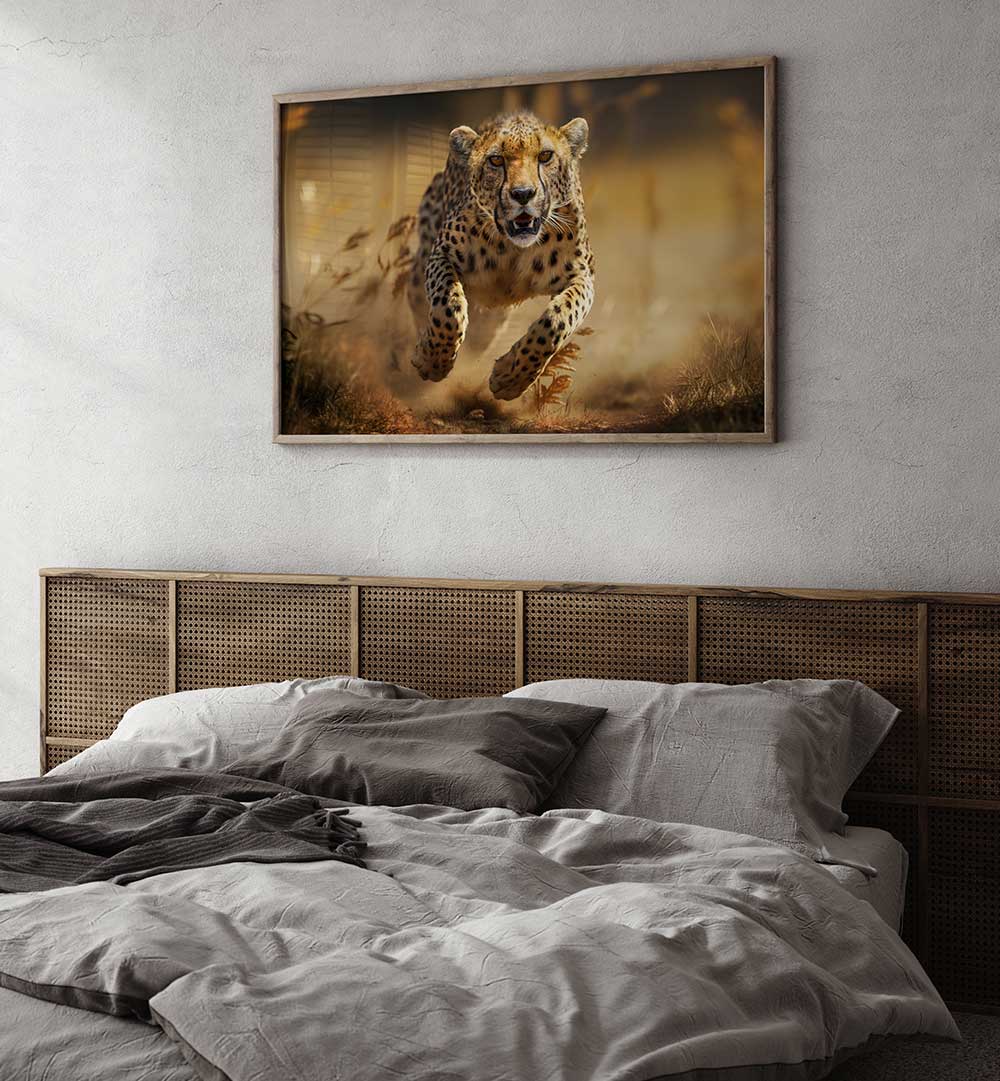 HUNTING CHEETHA  , PHOTOGRAPHY PRINTS