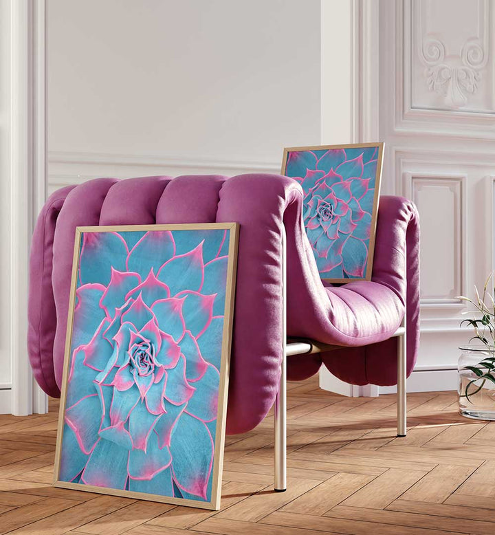 BLUE AND PINK SUCCULENT , PHOTOGRAPHY PRINTS