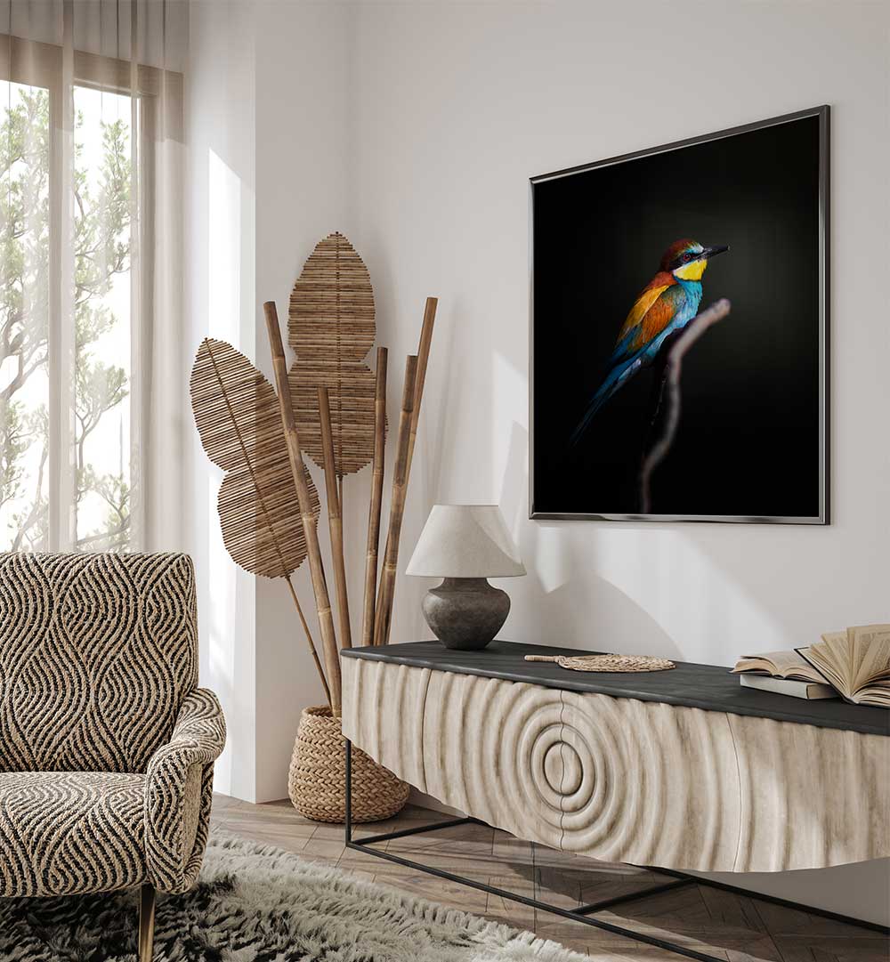 COLORFUL DARKLY  , PHOTOGRAPHY PRINTS