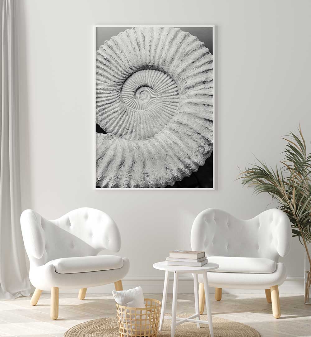 Monochrome framed ammonite print above modern chairs, ANCIENT SPIRAL DREAMS , BEACH PAINTINGS wall art