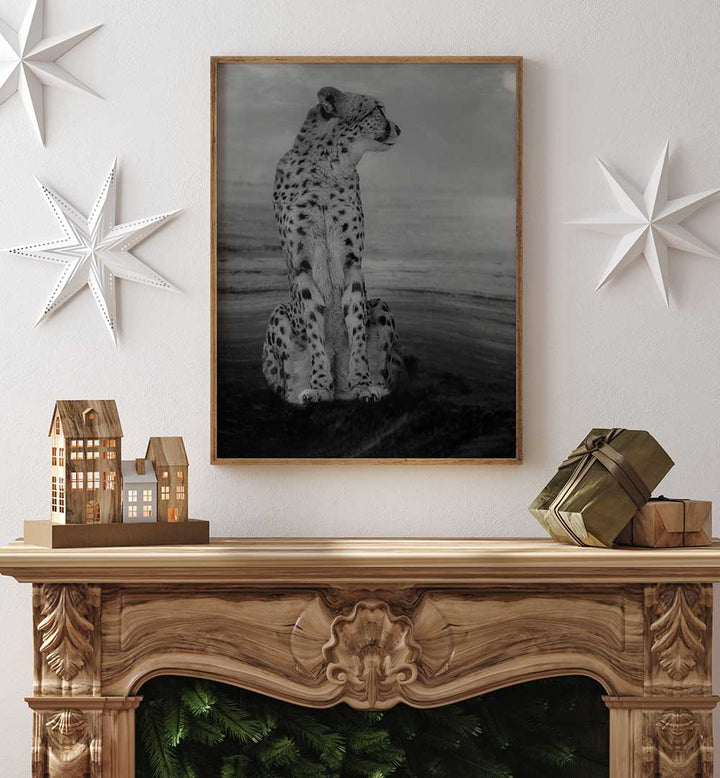 CHEETAH ON THE WATCH  , PHOTOGRAPHY PRINTS