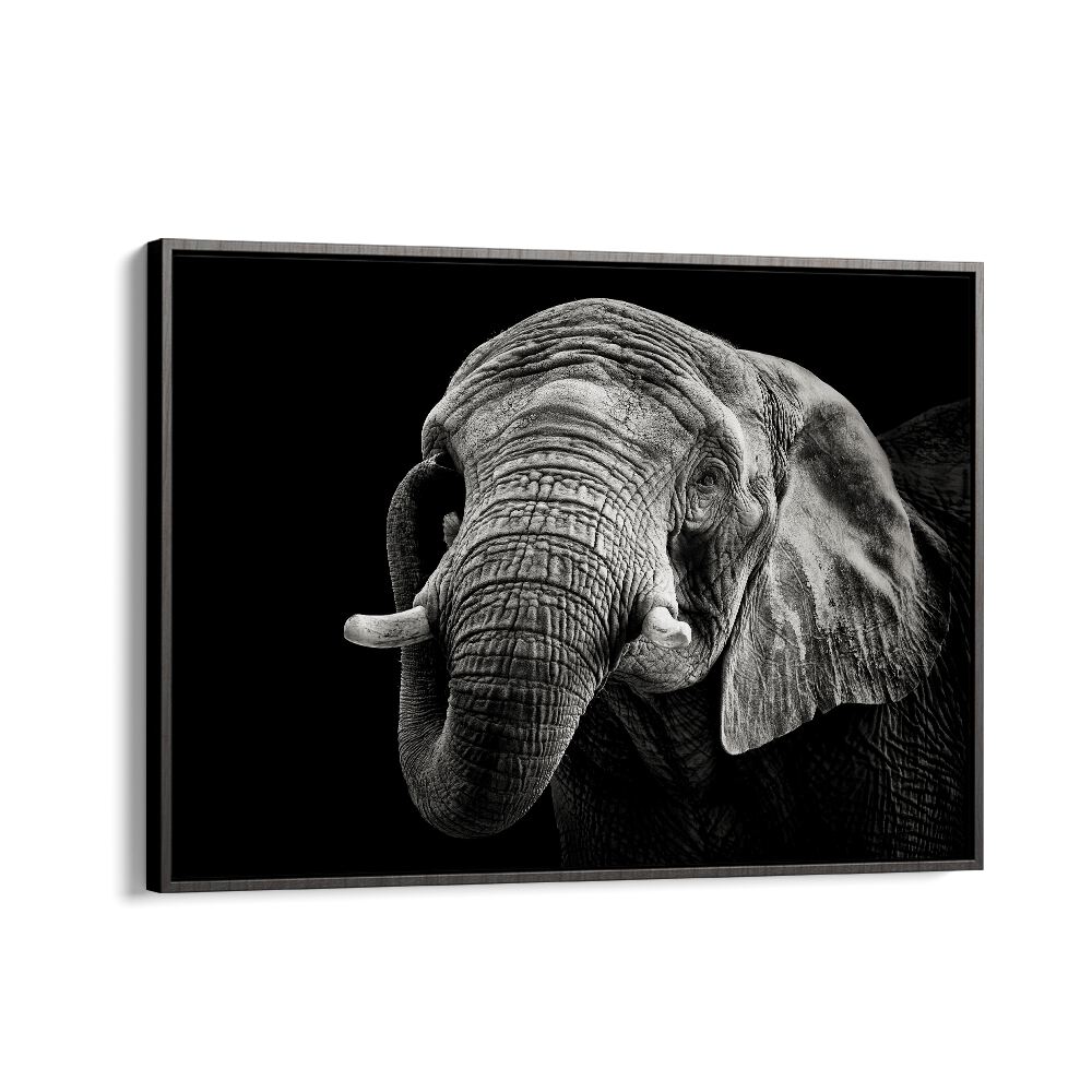 AFRICAN ELEPHANT WILDLIFE PHOTOGRAPHY in Black Floater Frame