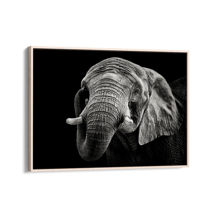 AFRICAN ELEPHANT WILDLIFE PHOTOGRAPHY in Oak Wood Floater Frame