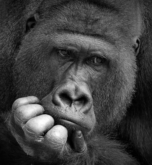 ANTJE WENNER BRAUN - PHOTOGRAPHER