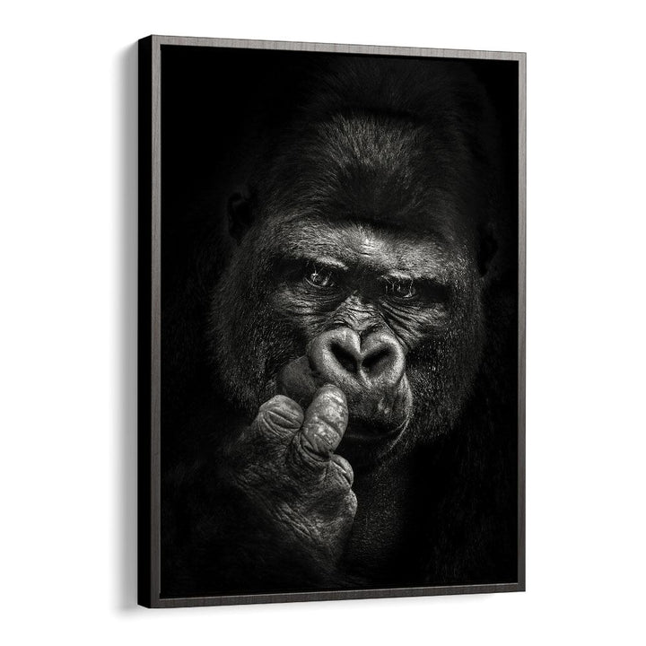 ATTITUDE WILDLIFE PHOTOGRAPHY in Black Floater Frame