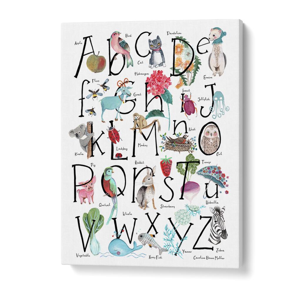 Abc Illustration By Caroline Bonne Muller Kids Room Painting in Gallery Wrap