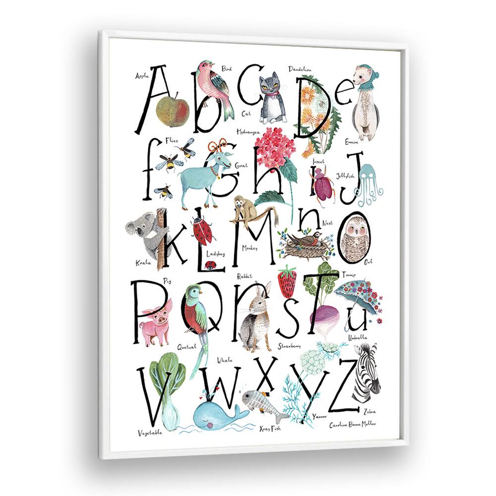 Abc Illustration By Caroline Bonne Muller Kids Room Painting in White Plain Frame