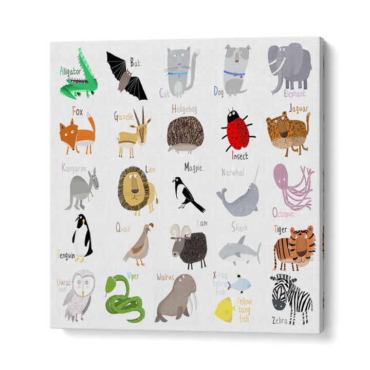 Animal Alphabet Chart White By Carla Daly Kids Room Art in Gallery Wrap