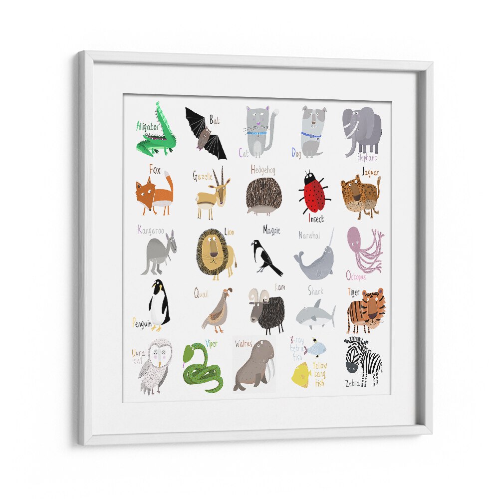 Animal Alphabet Chart White By Carla Daly Kids Room Art in White Frame With Mount