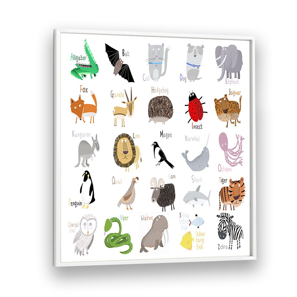 Animal Alphabet Chart White By Carla Daly Kids Room Art in White Plain Frame