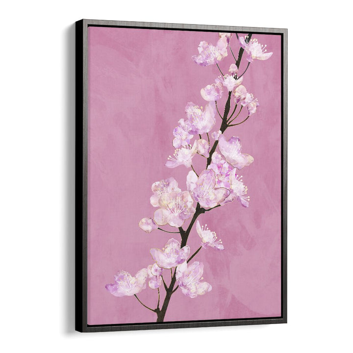 April Cherry Blossoms By Sarah Manovski Botanical Paintings in Black Floater Frame