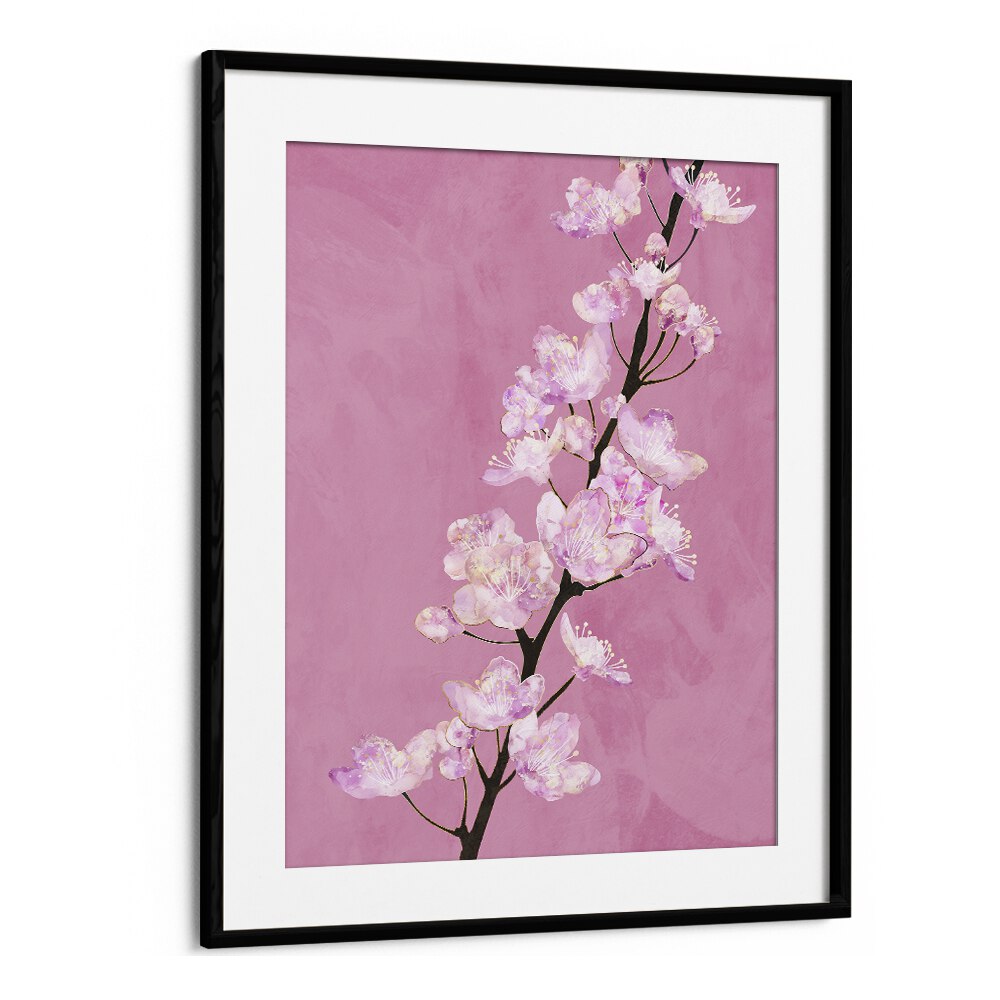 April Cherry Blossoms By Sarah Manovski Botanical Paintings in Black Frame With Mount