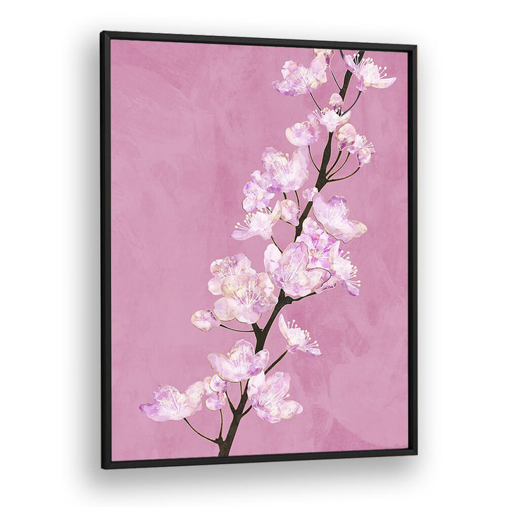 April Cherry Blossoms By Sarah Manovski Botanical Paintings in Black Plain Frame