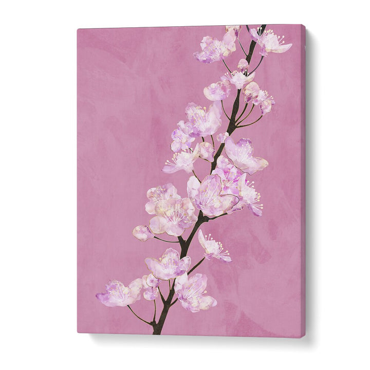 April Cherry Blossoms By Sarah Manovski Botanical Paintings in Gallery Wrap