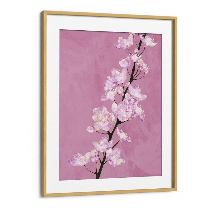 April Cherry Blossoms By Sarah Manovski Botanical Paintings in Oak Wood Frame With Mount