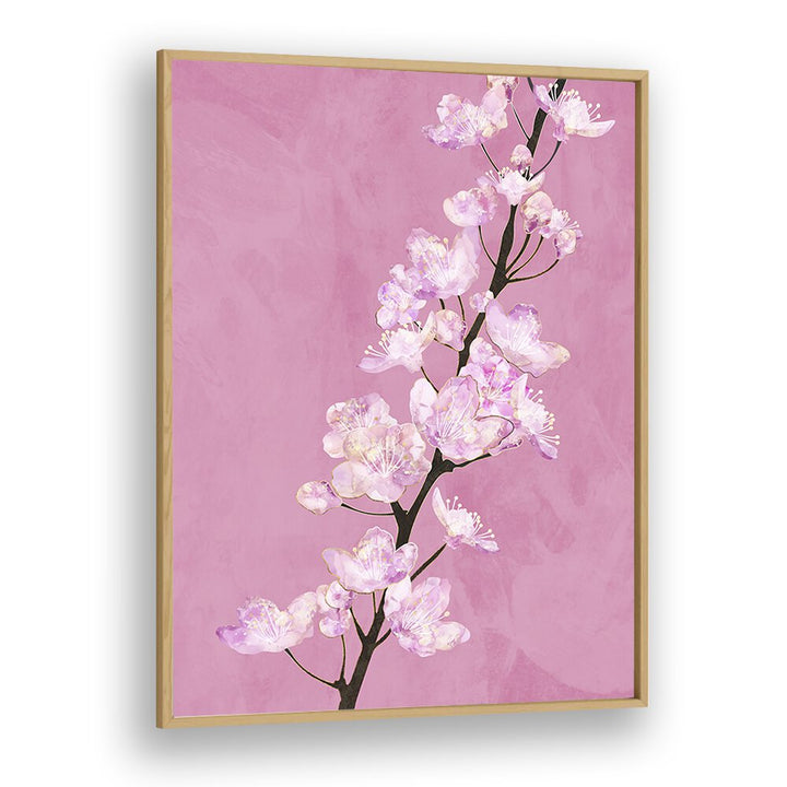 April Cherry Blossoms By Sarah Manovski Botanical Paintings in Oak Wood Plain Frame