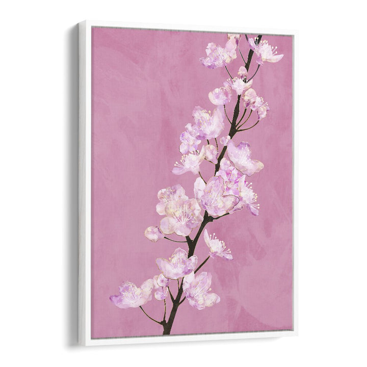 April Cherry Blossoms By Sarah Manovski Botanical Paintings in White Floater Frame