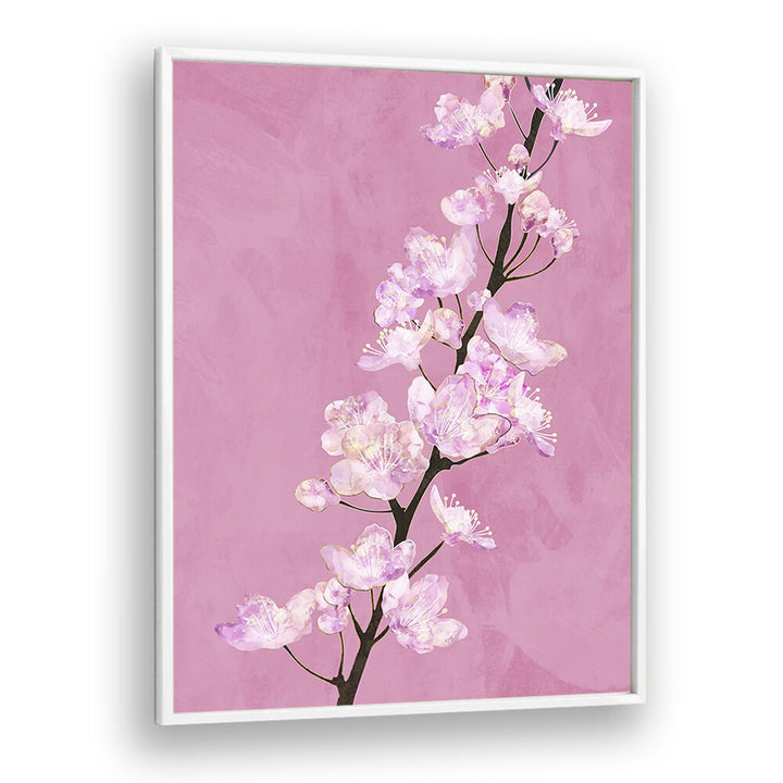 April Cherry Blossoms By Sarah Manovski Botanical Paintings in White Plain Frame