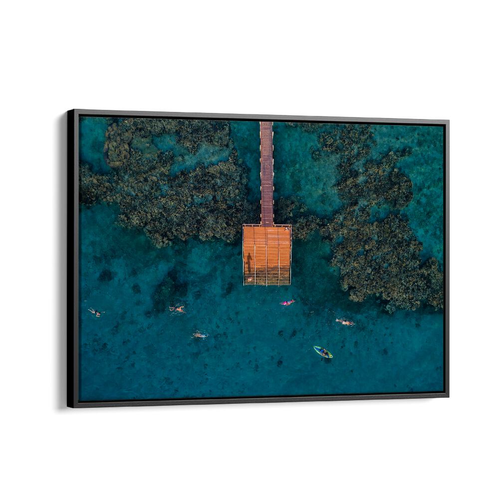 PHOTOGRAPHY painting - CORAL ESCAPE BY IDO MEIROVICH by Asianmonk