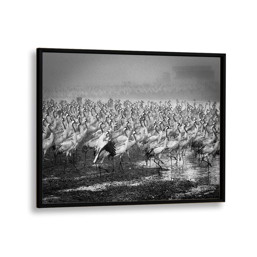 PHOTOGRAPHY painting - BIRD CITY BY IDO MEIROVICH by Asianmonk