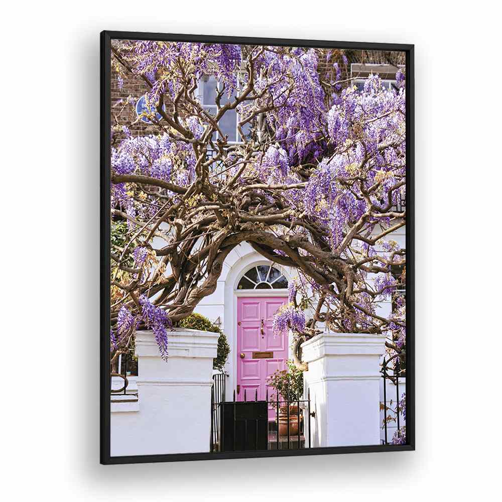 WISTERIA DREAMS BY GABOR ESTEFAN, STREET PHOTOGRAPHY ART PRINTS