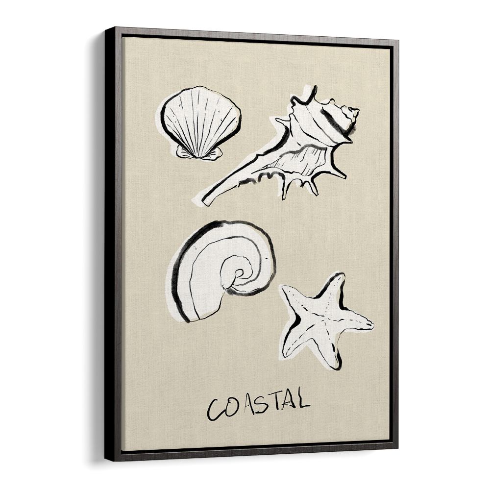 COASTAL SHELLS AND STARFISH
