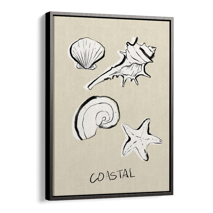 COASTAL SHELLS AND STARFISH