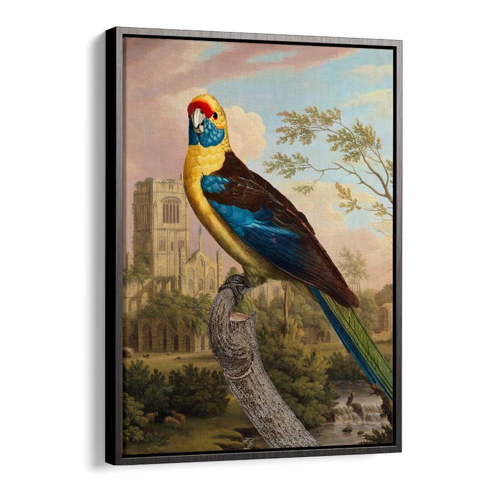 COLORFUL PARROT RUINS