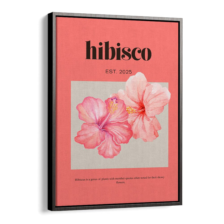 DELICATE PINK HIBISCUS