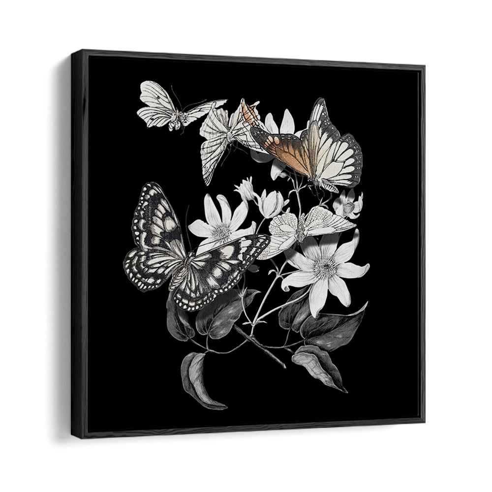 ELEGANT BOTANICAL BUTTERFLIES