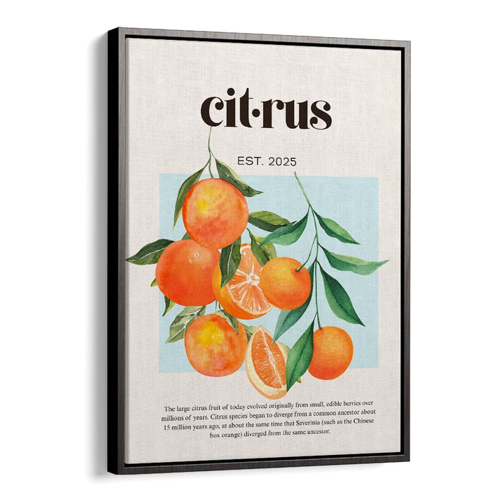 FRESH WATERCOLOR CITRUS