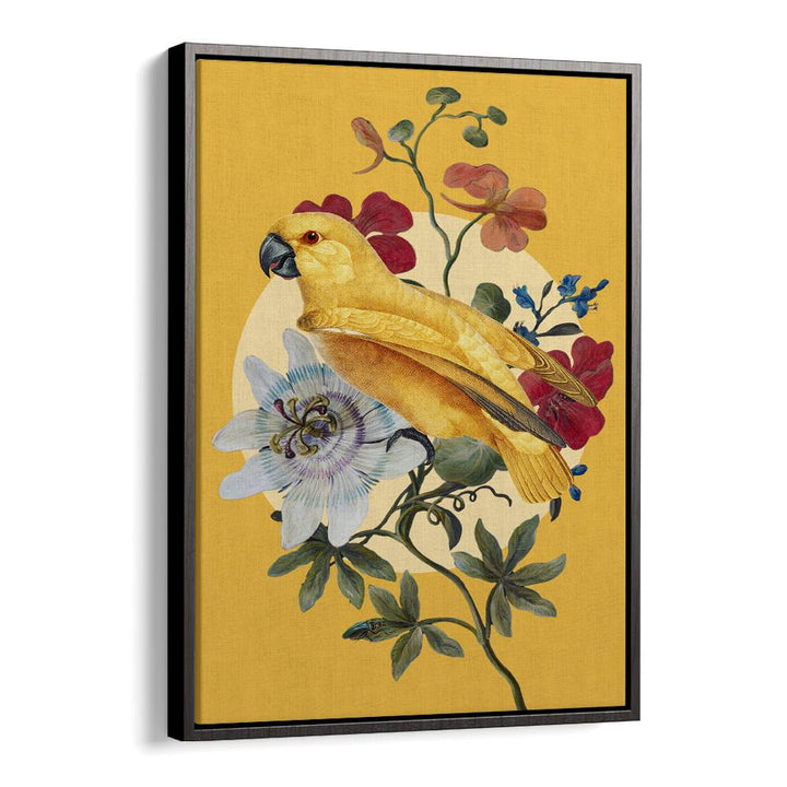 GOLDEN PARROT PASSION FLOWER