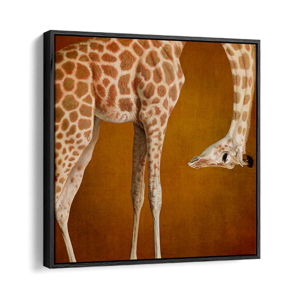 GRACEFUL GIRAFFE PORTRAIT