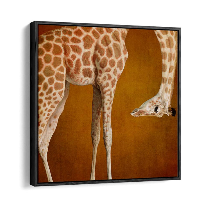 GRACEFUL GIRAFFE PORTRAIT