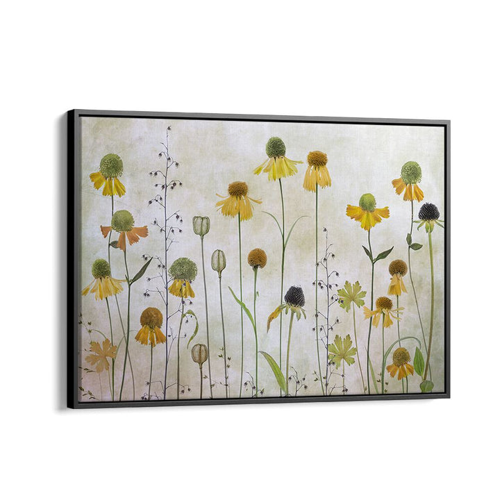 Colorful HELENIUM, FLORAL FLOWER PAINTINGS showcase elegant blooms, perfect for enhancing any living space decor.