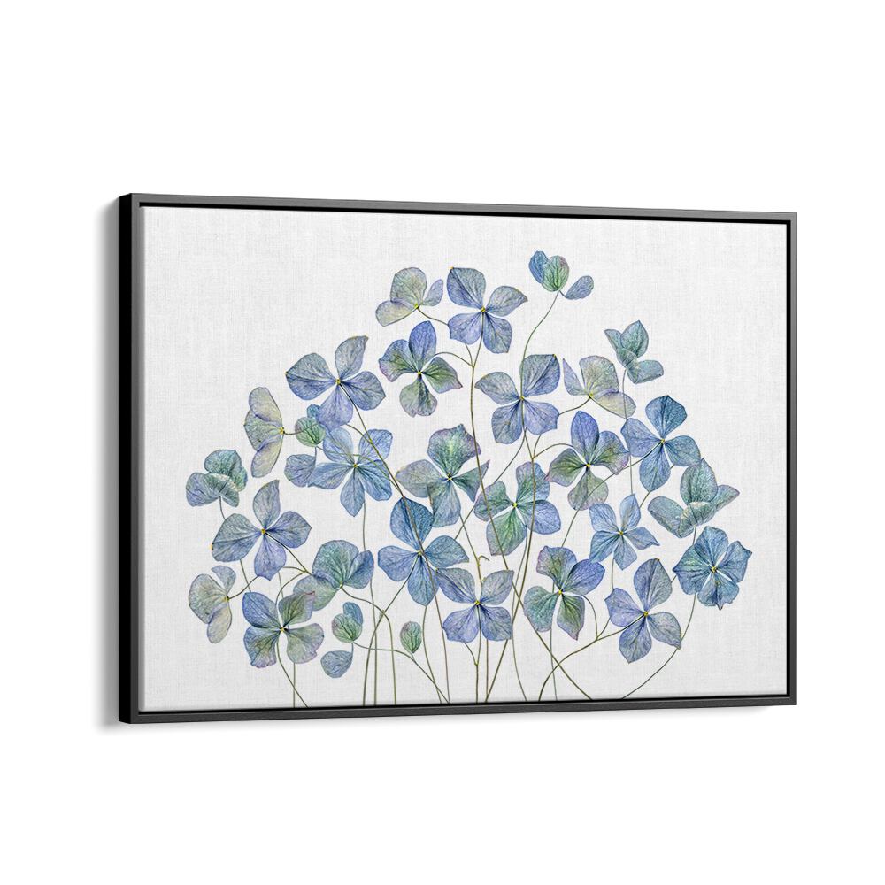 Lifelike HYDRANGEA, FLORAL FLOWER PAINTINGS bring elegance and charm to any space with vibrant colors and detail.