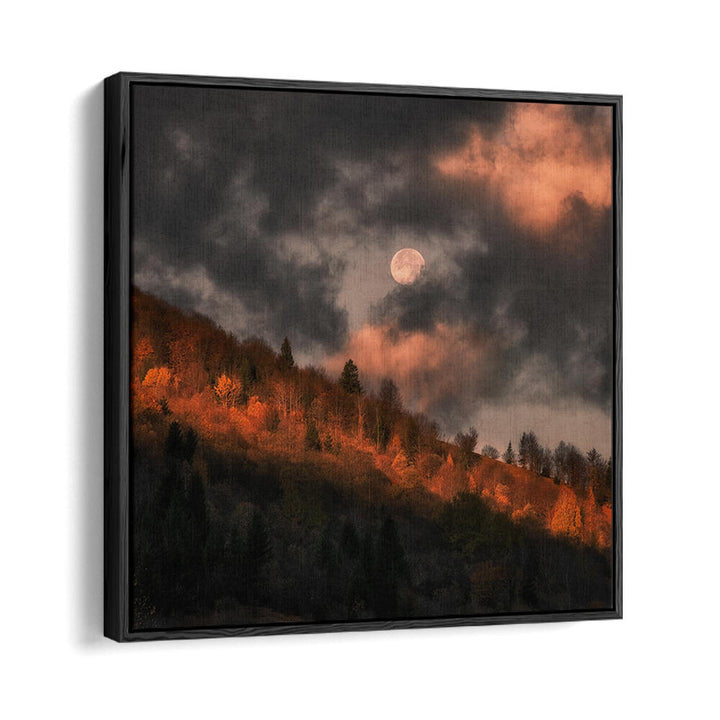 MOON DOESN'T WANT TO GO