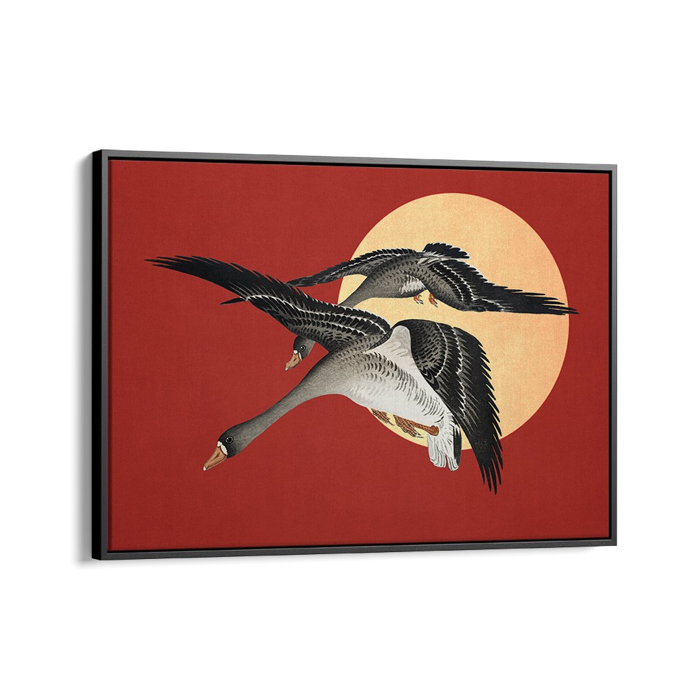 RED SUN GEESE FLIGHT