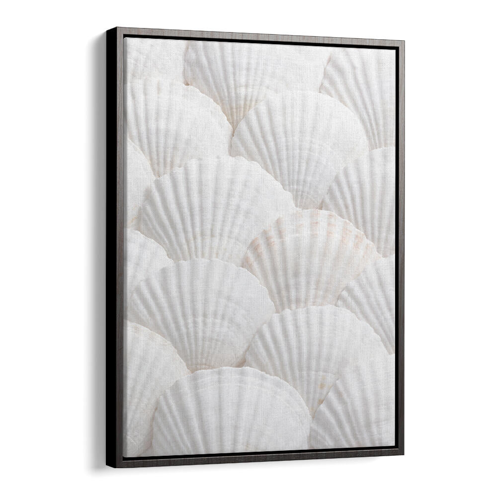 SHELLS III, BEACH PAINTINGS bring coastal serenity home with beautiful shell designs, perfect for beach lovers.