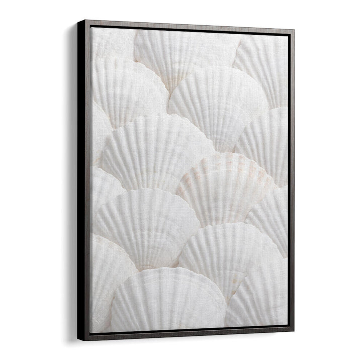 SHELLS III, BEACH PAINTINGS bring coastal serenity home with beautiful shell designs, perfect for beach lovers.