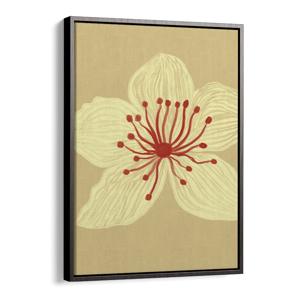 SOFT CREAM BLOSSOM